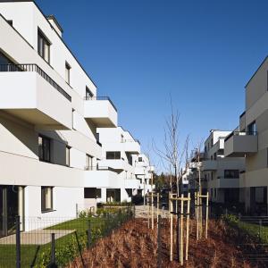 No To Naramowice | listopad 2025