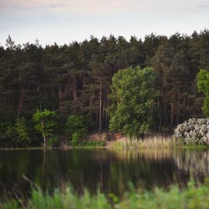 Tereny zielone nad Wartą