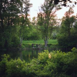 Tereny zielone nad Wartą