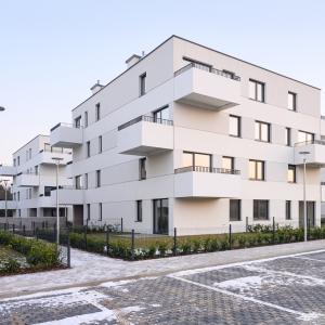 No To Naramowice | styczeń 2026