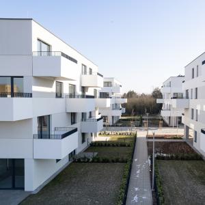 No To Naramowice | styczeń 2026