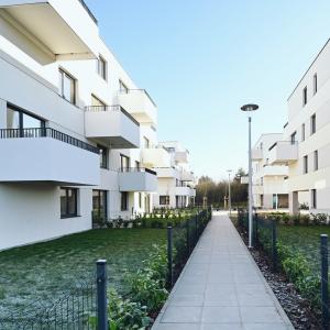 No To Naramowice | listopad 2025