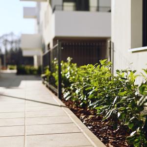 No To Naramowice | listopad 2025