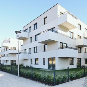 No To Naramowice | listopad 2025