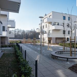 No To Naramowice | styczeń 2026