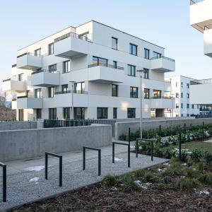 No To Naramowice | styczeń 2026