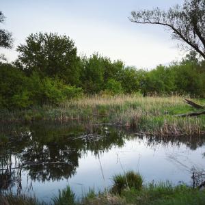 Tereny zielone nad Wartą