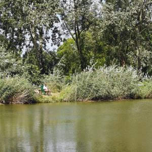 Stawy na Naramowicach i Strumień Różany